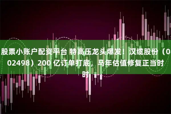 股票小账户配资平台 特高压龙头爆发！汉缆股份（002498）200 亿订单打底，马年估值修复正当时